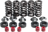 Valve Spring Kit 1998 - 2002