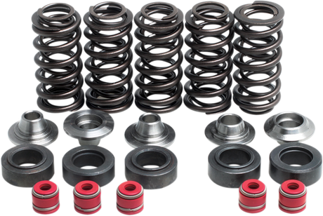 Valve Spring Kit 1998 - 2002