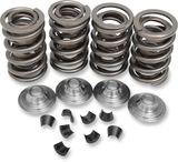 Valve Spring Kit - Big Twin 1966 - 1979