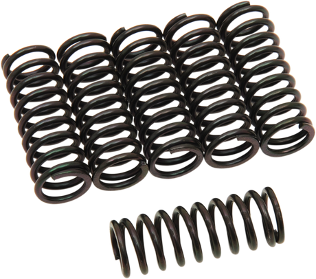 Clutch Springs 2013 - 2013