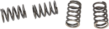 HD Clutch Springs - DRZ/KLX110 2003 - 2023