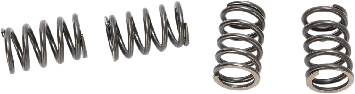 HD Clutch Springs - DRZ/KLX110 2003 - 2023