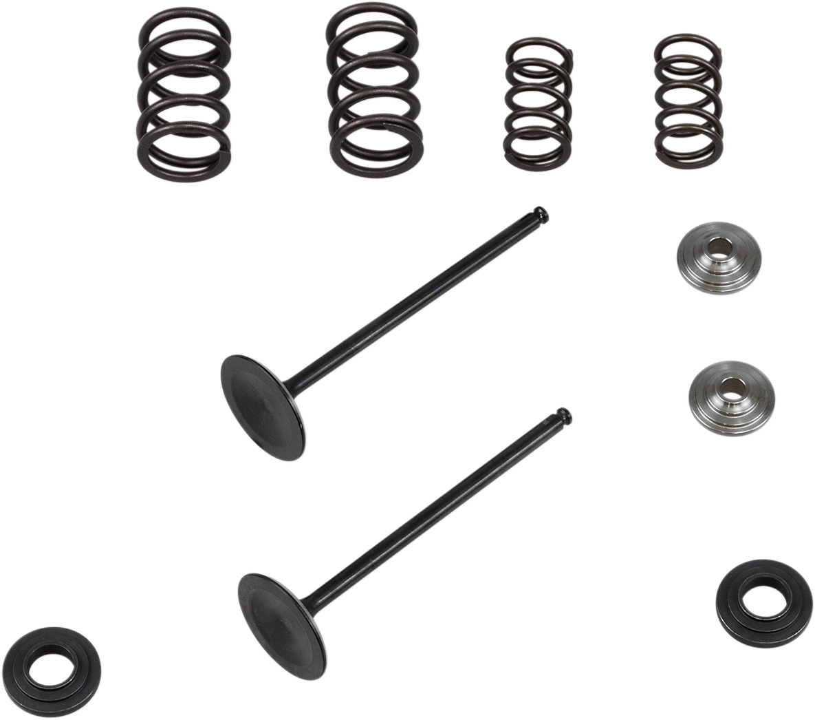 Valve Spring Kit 2008 - 2012