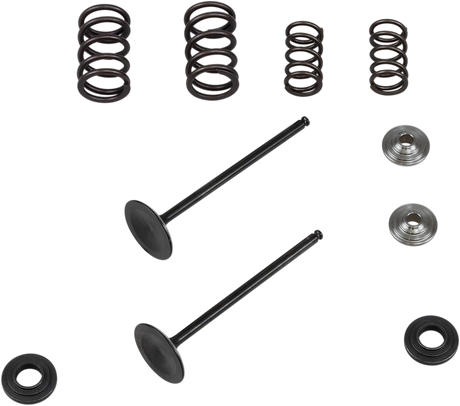 Valve Spring Kit 2008 - 2012