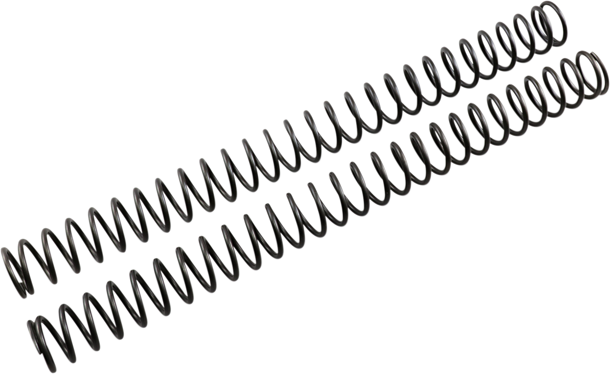 Front Fork Springs - 0.42 kg/mm 2013 - 2023