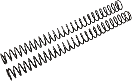 Front Fork Springs - 0.42 kg/mm 2013 - 2023