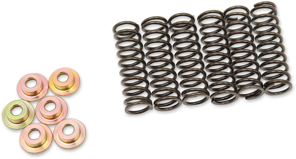 Clutch Spring Set 2004 - 2022