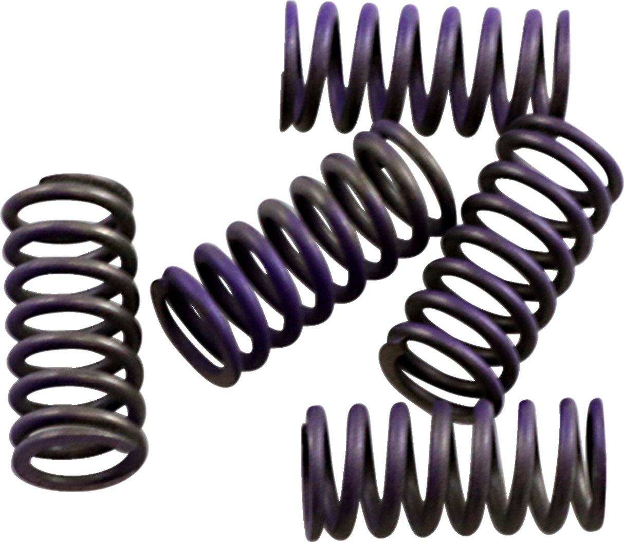 Clutch Spring Kit 1993 - 2019