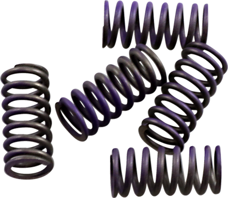 Clutch Spring Kit 1993 - 2019