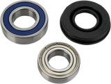 Chain Case Bearing and Seal Kit 1998 - 2003