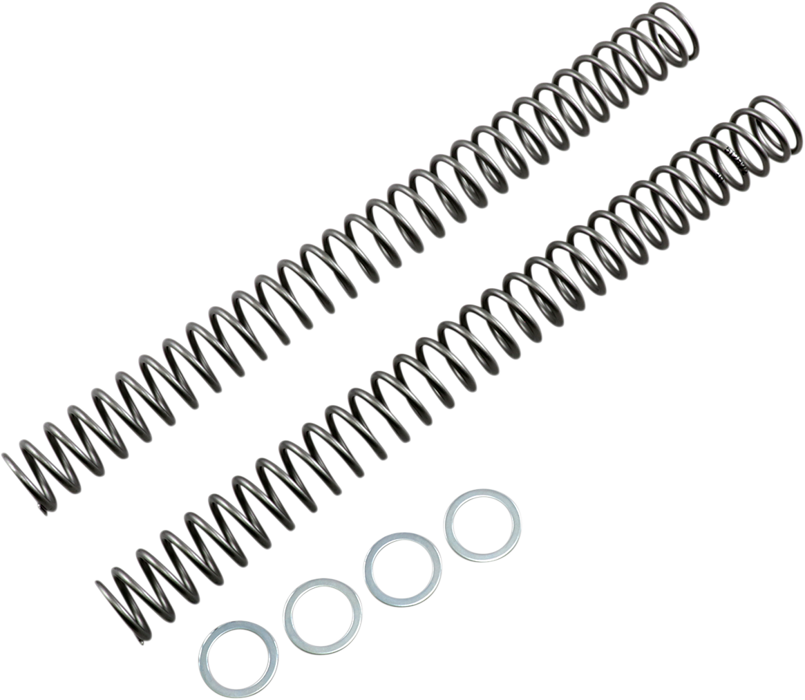 Fork Springs - 0.38 kg/mm 2004 - 2006