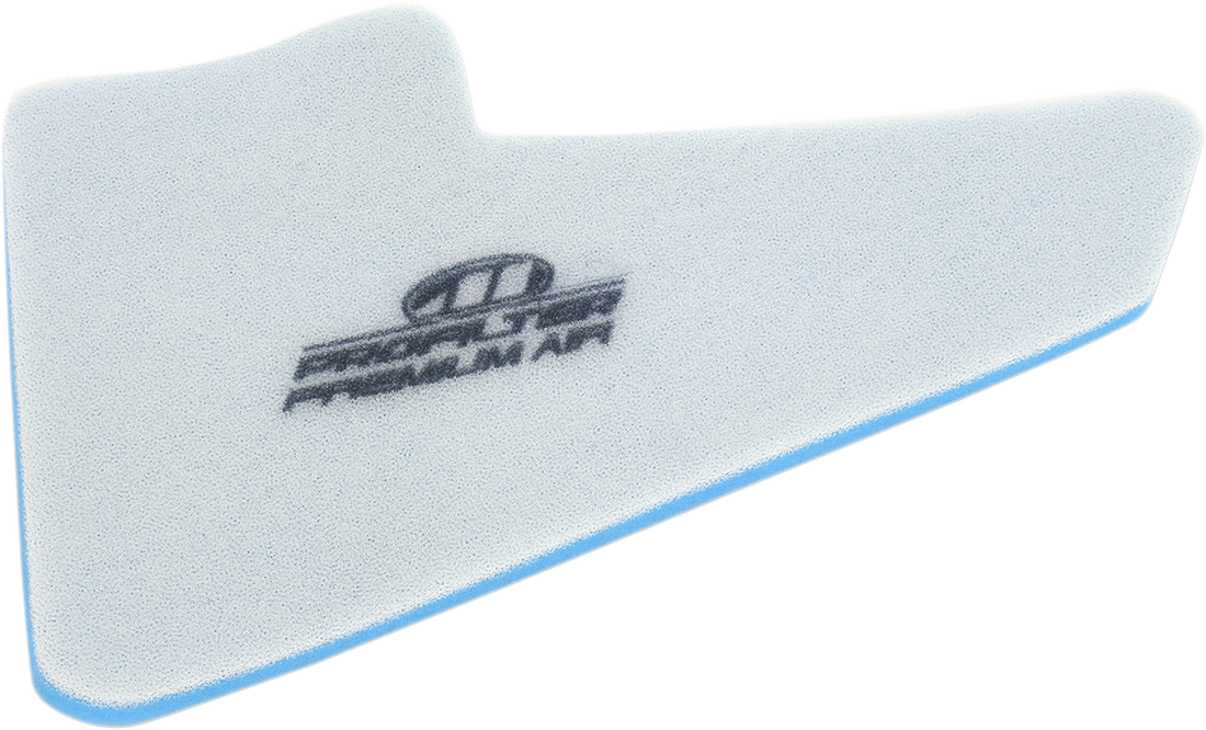 Premium Air Filter - Honda 2000 - 2007