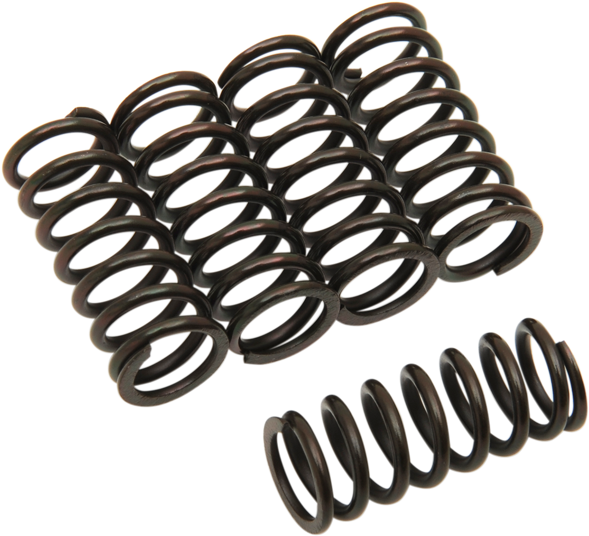 Clutch Springs 1981 - 2023