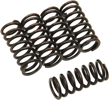 Clutch Springs 1981 - 2023