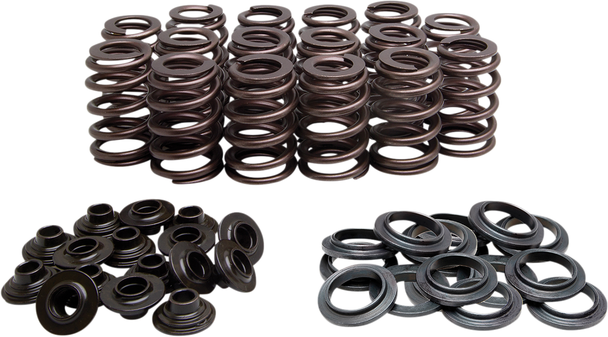 Beehive Valve Spring Kit 2005 - 2008