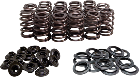 Beehive Valve Spring Kit 2005 - 2008