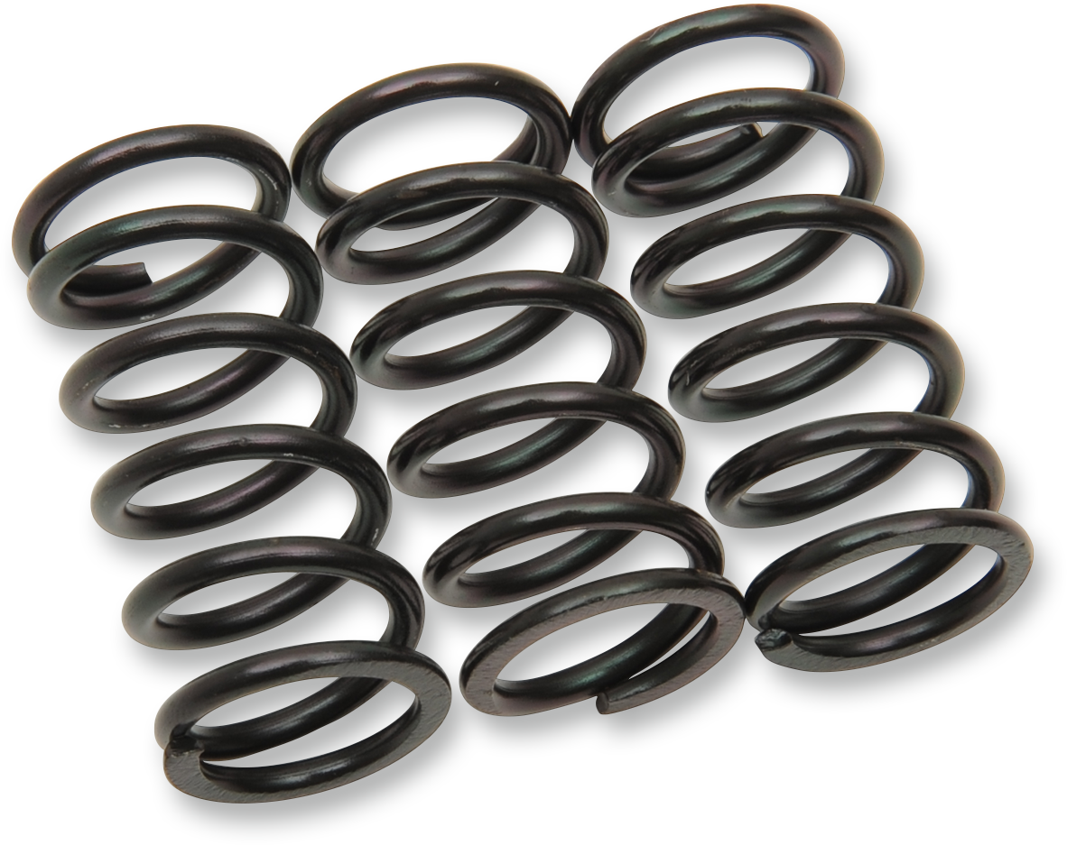 Clutch Springs 2013 - 2023