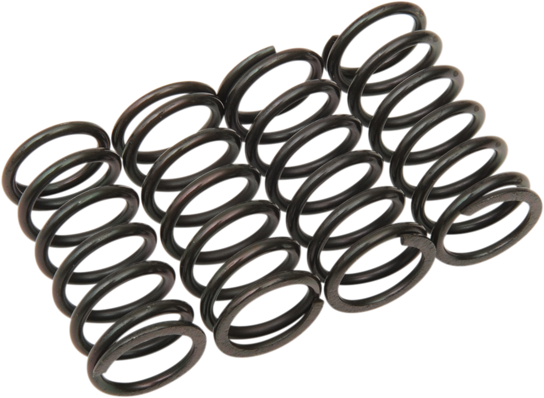 Clutch Spring Kit 1998 - 2022