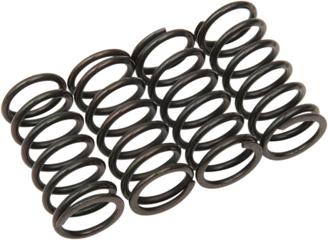 Clutch Spring Kit 1998 - 2022