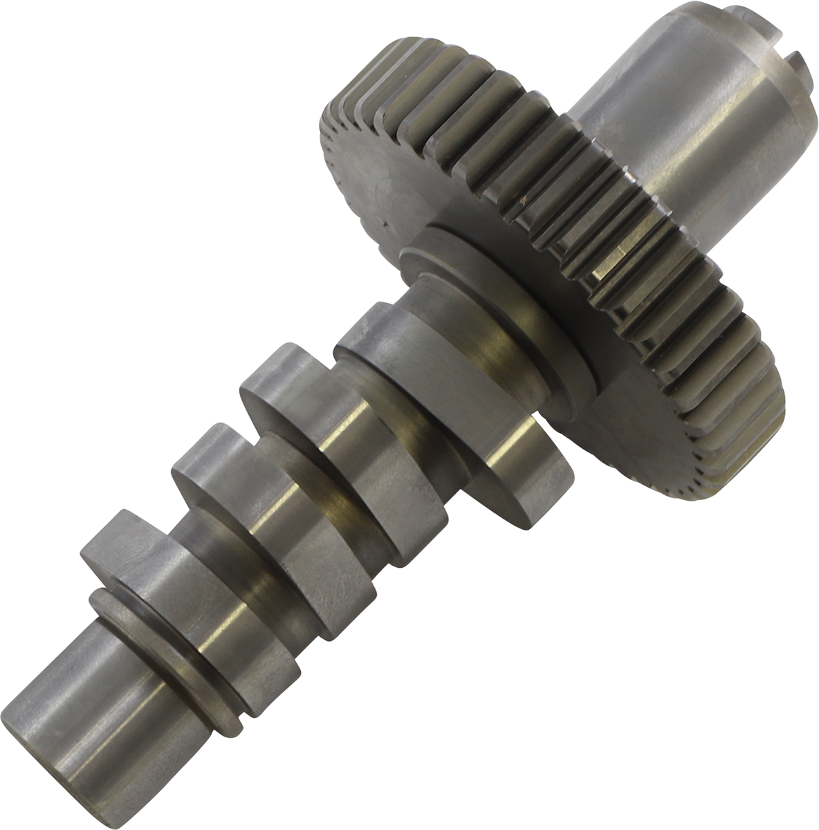 Camshaft - 561 - Evolution Big Twin 1984 - 1999