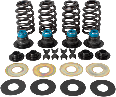 Springs - .585\" - Twin Cam 2005 - 2017