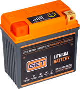 Lithium Iron Battery 2016 - 2024