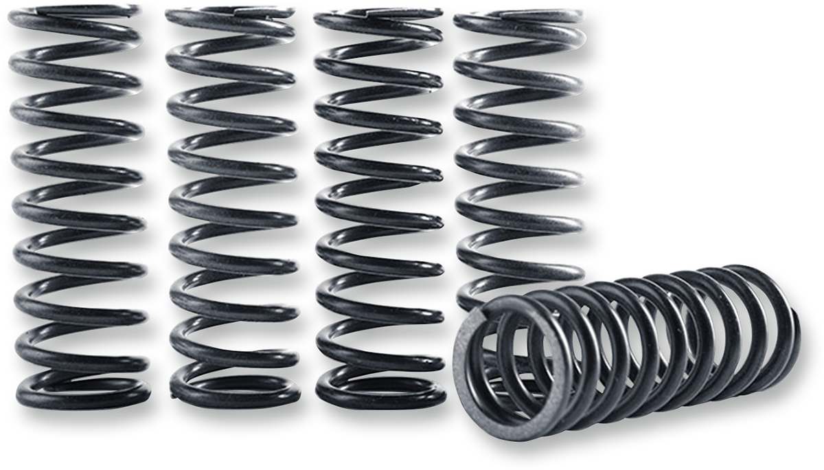 Clutch Spring Kit 2006 - 2020