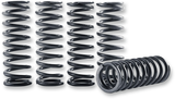 Clutch Spring Kit 2006 - 2020