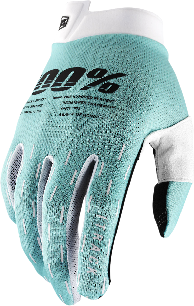 iTrack Gloves - Aqua - Large