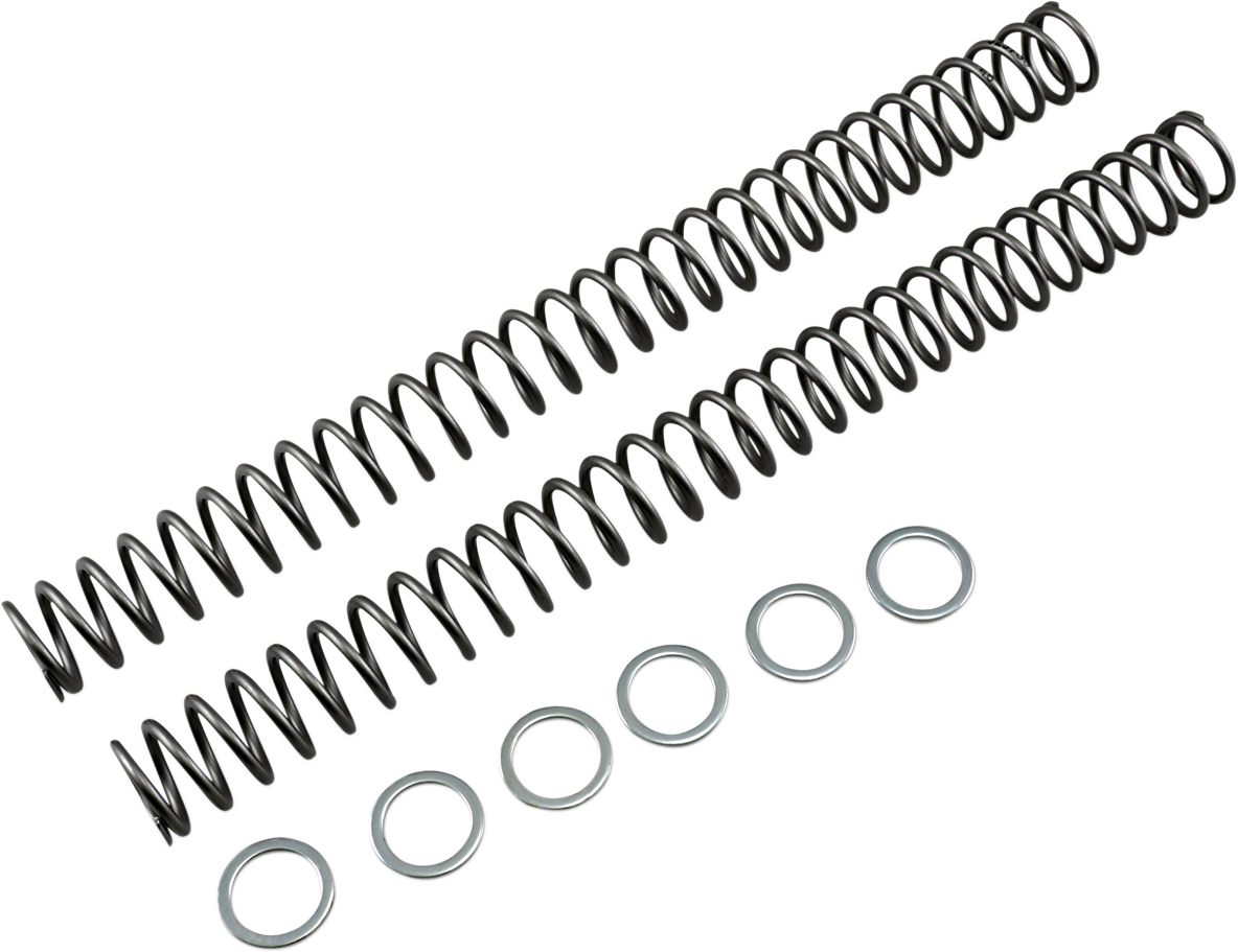 Fork Springs - 0.46 kg/mm 2002 - 2016