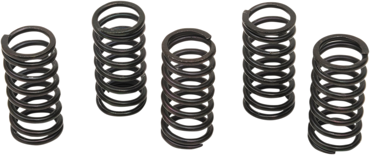 Clutch Spring Kit 2004 - 2012