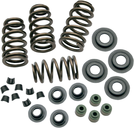 Valve Springs - .650\" - Twin Cam 2005 - 2017