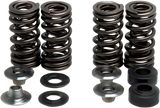 Valve Spring Kit 2007 - 2022