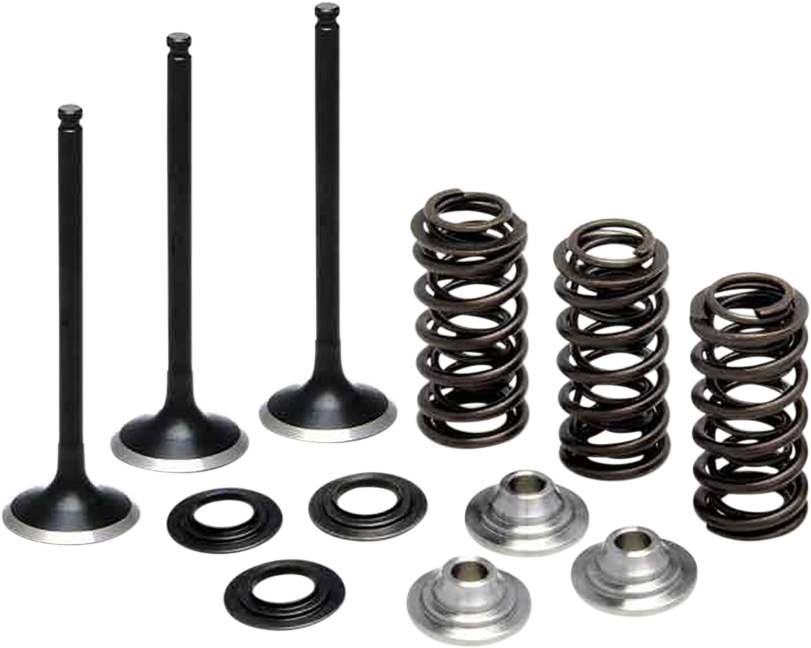 Valve Spring Kit 2001 - 2013