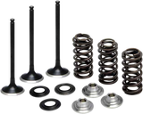 Valve Spring Kit 2001 - 2013