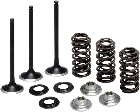 Valve Spring Kit 2001 - 2013