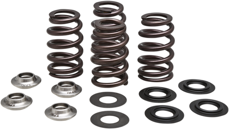 Beehive Valve Spring Kit 2013 - 2018