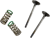 Valve and Spring Kit - Exhaust - Gas Gas | Yamaha 2001 - 2015