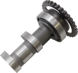 Exhaust Camshaft 2015 - 2017