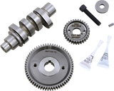 Camshaft Kit - 590G - Gear Drive - M8 2017 - 2020