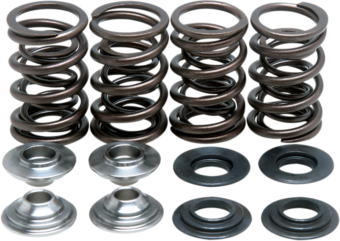 Valve Spring Kit 2000 - 2017