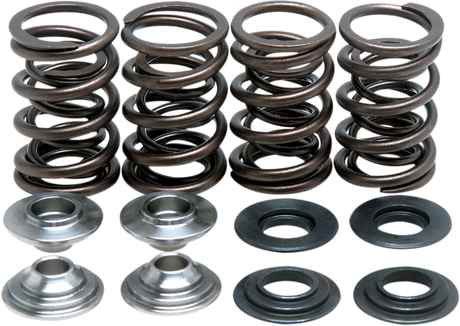 Valve Spring Kit 2000 - 2017