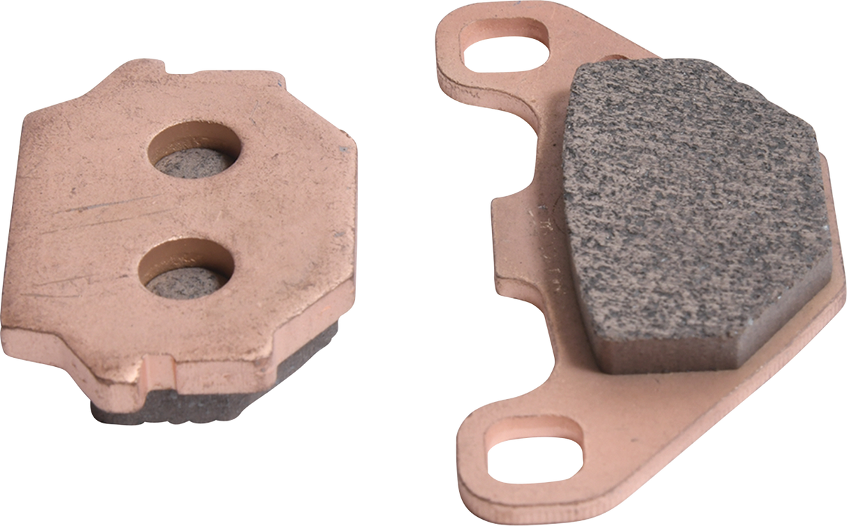 Sintered Brake Pads 1983 - 2021