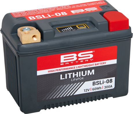 Lithium Battery - BSLi-08 1984 - 2023