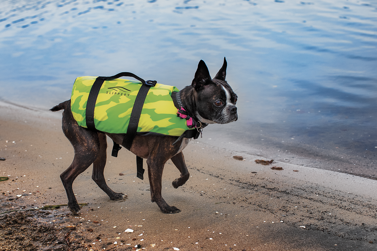 Pet Vest - Yellow/Green - Medium